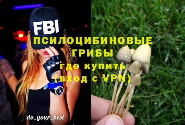 дурь Белокуриха
