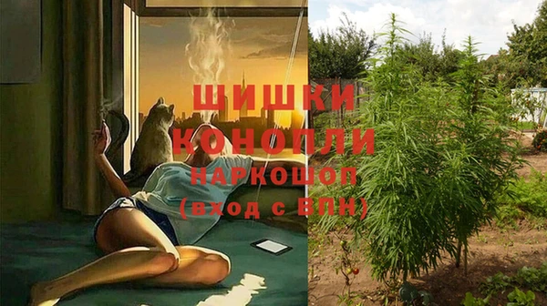 дурь Белокуриха