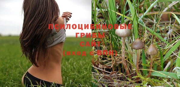 jwh Богородицк