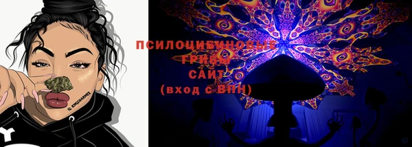 jwh Богородицк